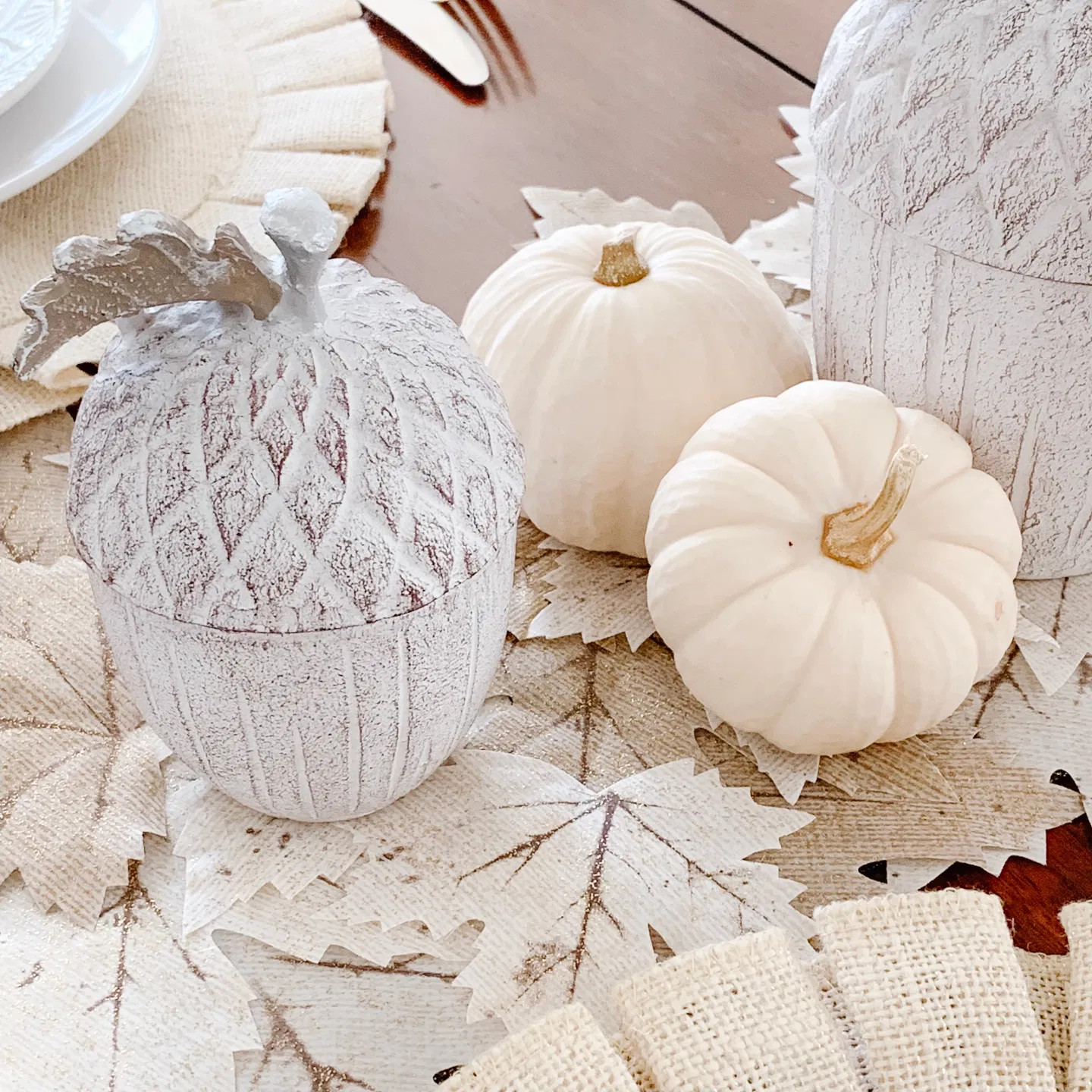 Baby Boo Pumpkin Seeds | Untreated White Mini Little Gourd Fall Squash Seed 2023