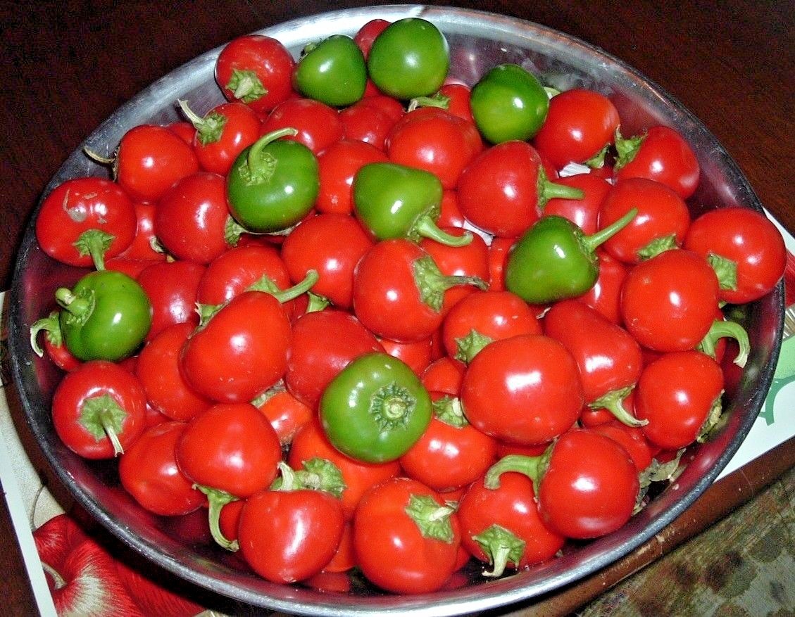101+Hot Red CHERRY PEPPER Seeds Organic Vegetable Garden Patio Container Easy