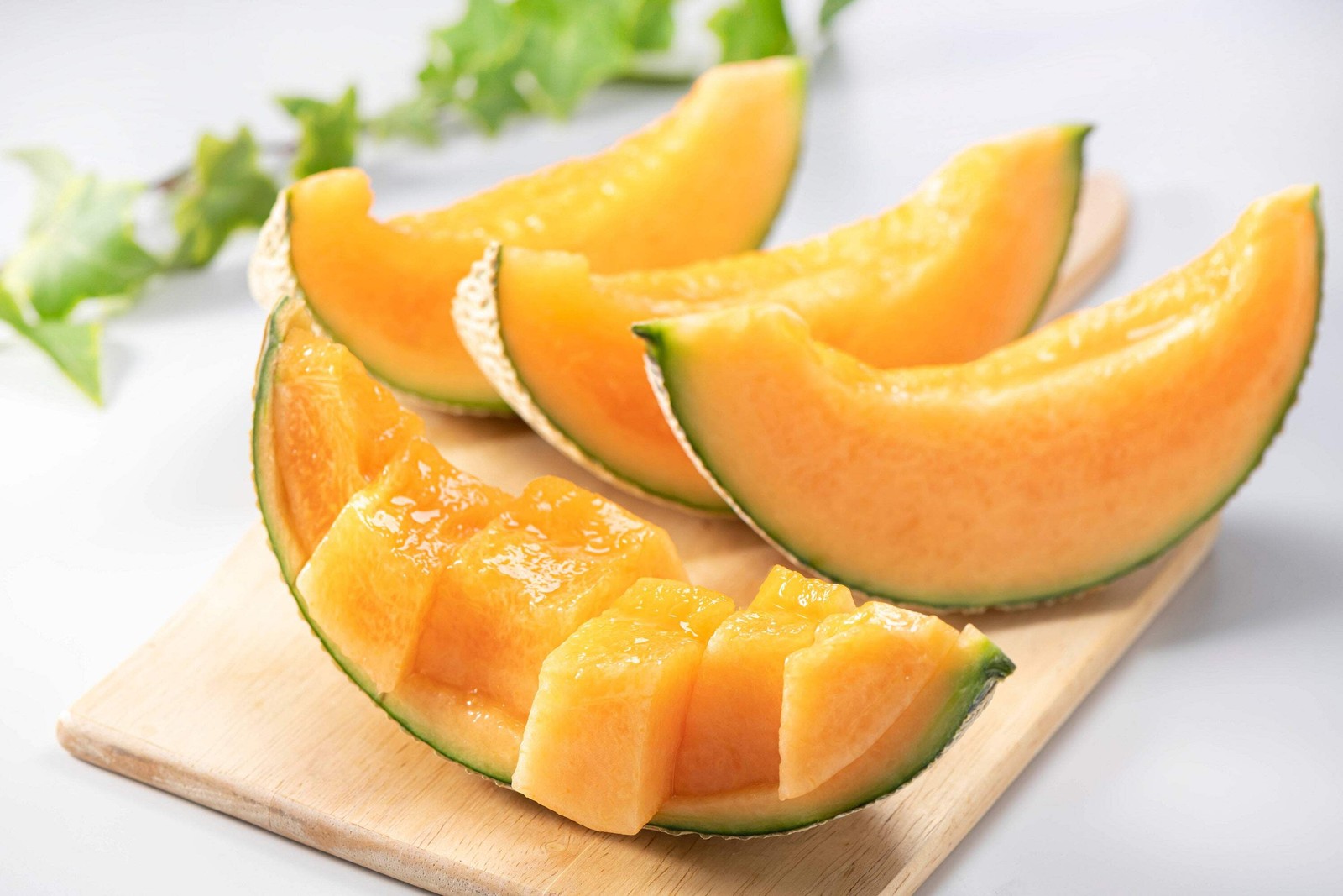 200 HALE’S BEST JUMBO CANTALOUPE Orange Muskmelon Cucumis Melo Melon Fruit Seeds