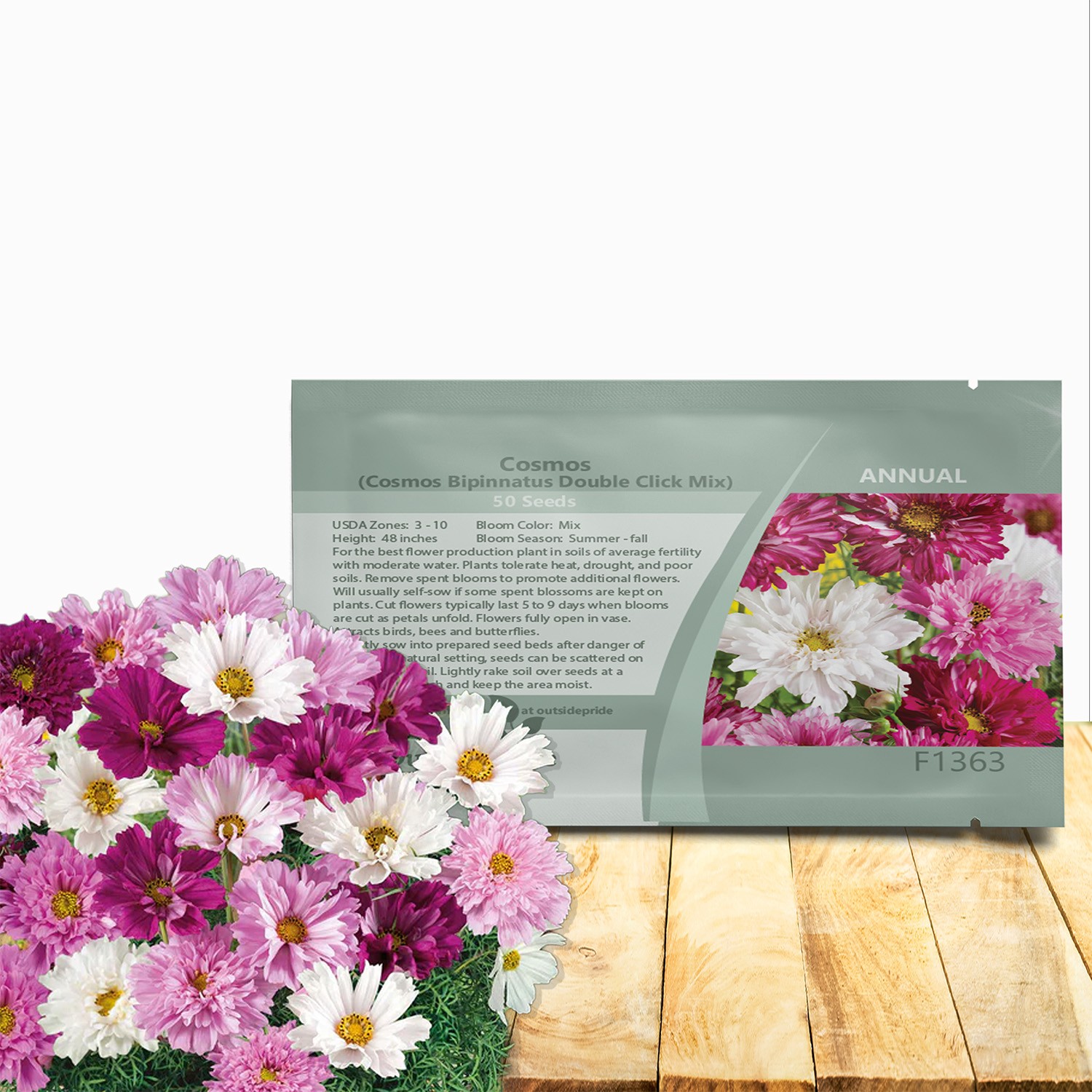 50 Seeds Drought Tolerant Cosmos Bipinnatus Double Click Garden Flower Plant