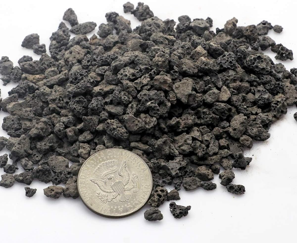 TOYPOPOR 6Lb Black Lava Rock for Plants, Natural Horticultural Volcanic Grit
