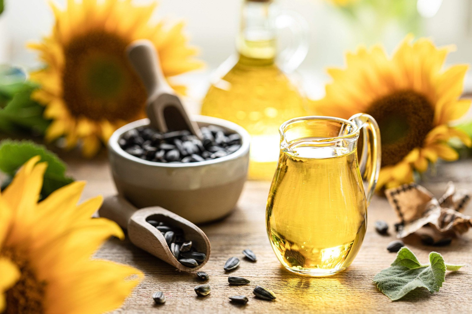 100 BLACK OIL SUNFLOWER Helianthus Annuus Yellow Hummingbird Bird Flower Seeds