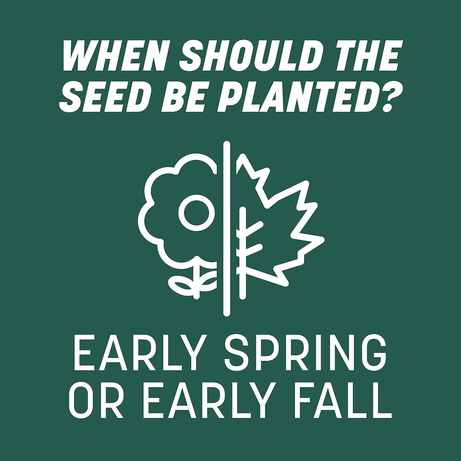 Smart Seed Sun & Shade Mix South, Tall Fescue Grass Seeds for Lawn