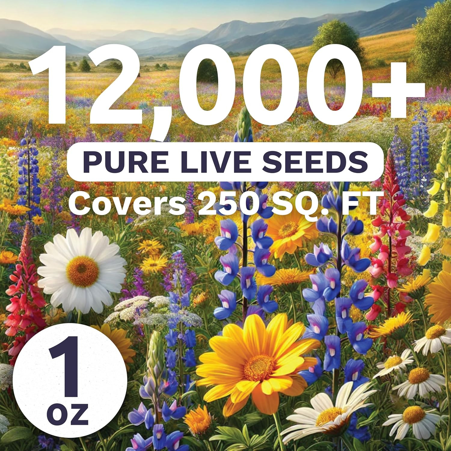 Southeast Regional Mix – Large 1 Ounce Packet – 12,000 Flower Seeds for Planting