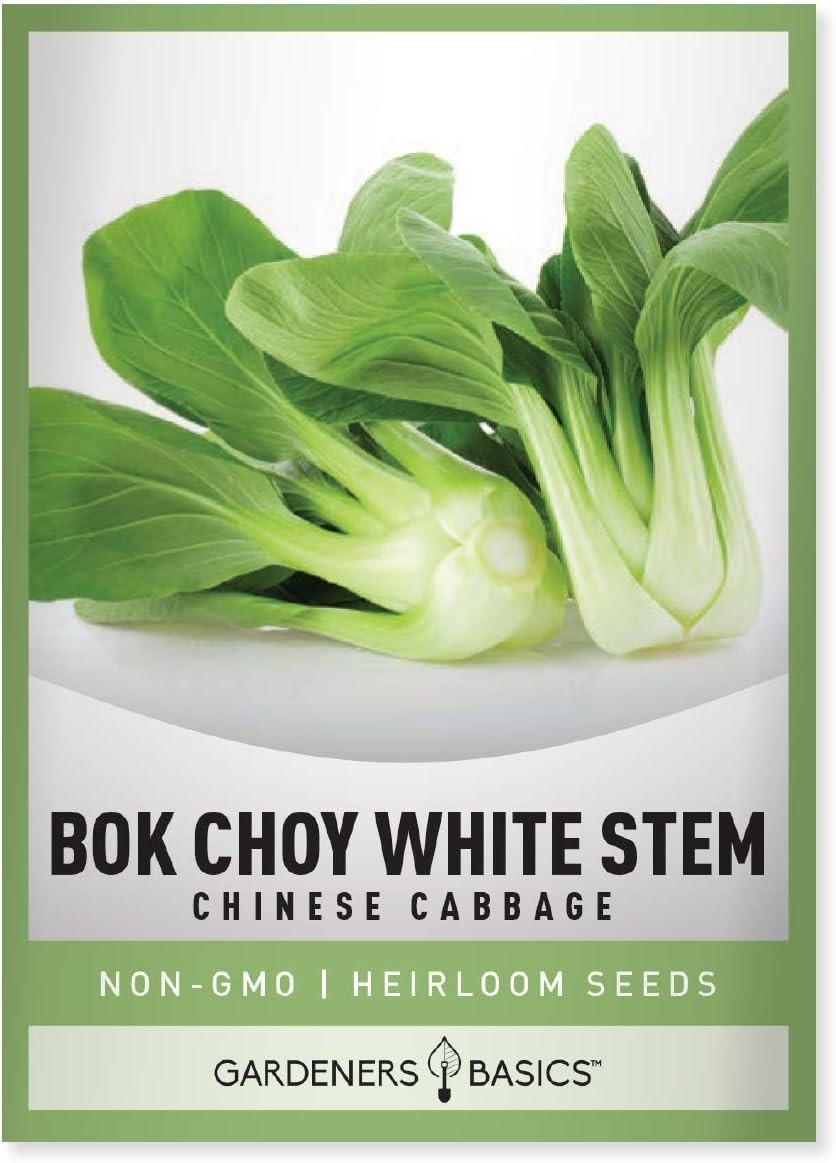 GMO-Free Bok Choy Seeds for Planting – Ideal for Spring and Summer Harvests