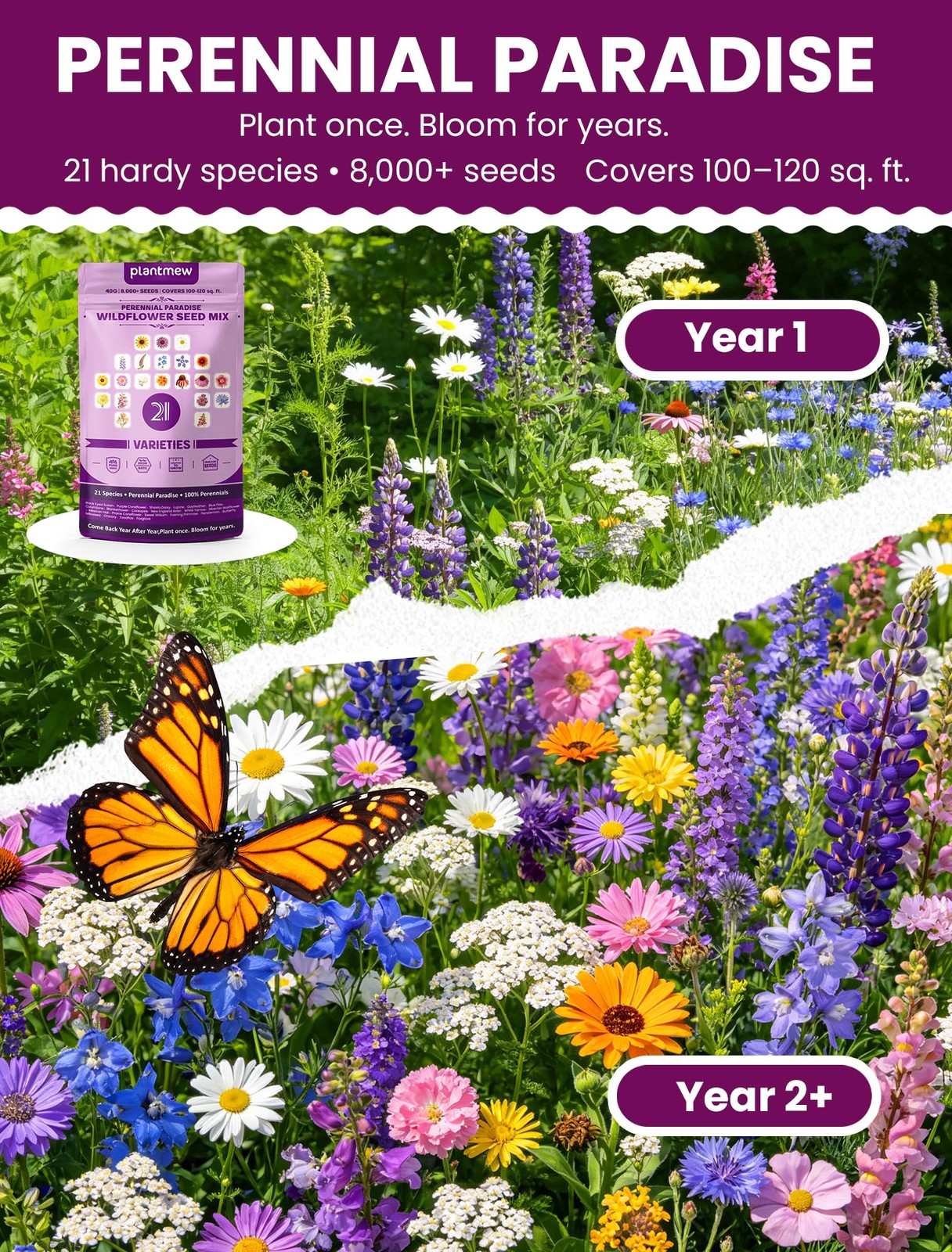Wildflower Seeds – Perennial Paradise Mix, 21 Heirloom Species, 90,000+ Seeds…