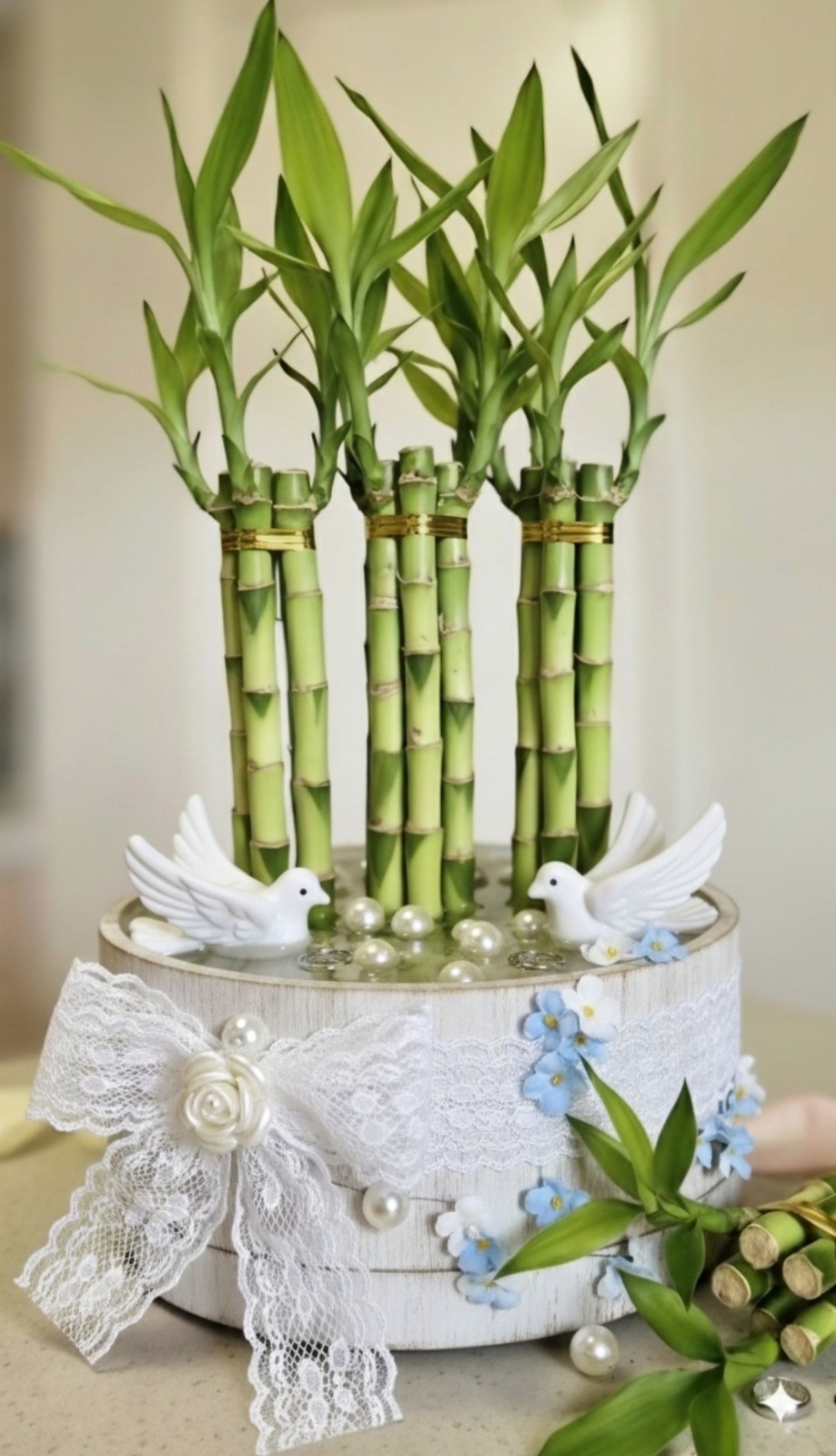 Lucky Bamboo Plants 6 Stalks 8 Inches, Home Decor