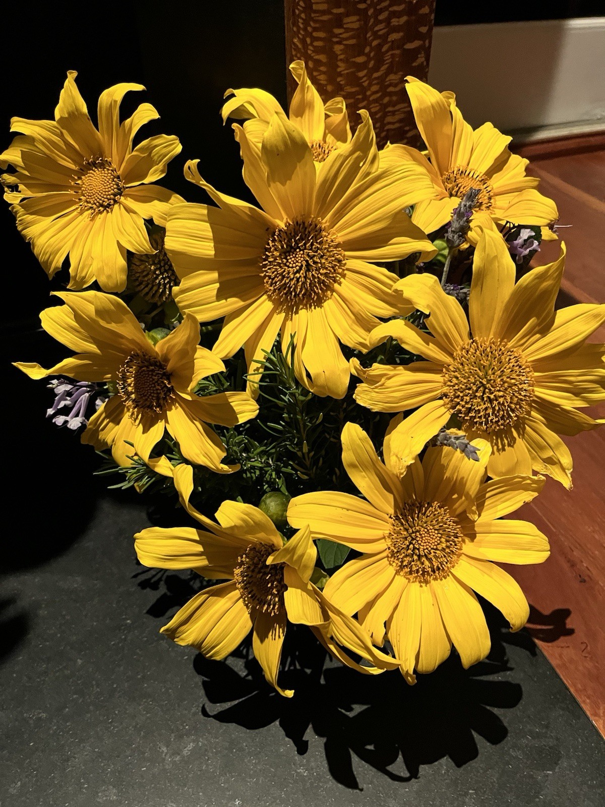 Perennial Organic Mexican Sunflower 10 Cuttings,freshly cut per Order