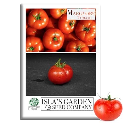 Marglobe Tomato Seeds (Solanum lycopersicum) – 500+ Non-GMO & Heirloom Seeds