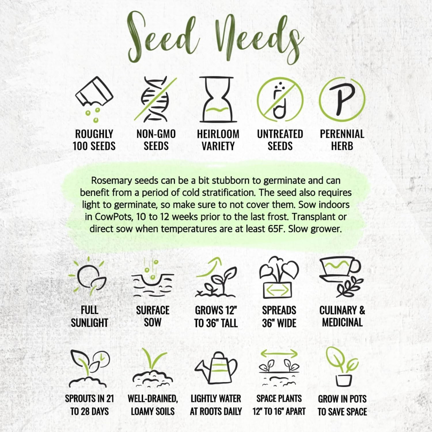 Rosemary Seeds to Plant Heirloom Non-GMO Culinary Herbs 1 Pack