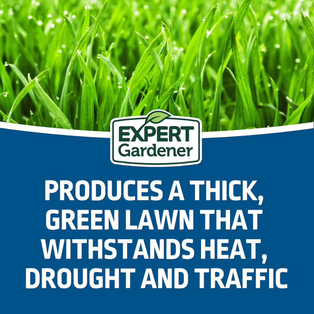 Expert Gardener Northern Sun & Shade Grass Seed Mix, 20 lb Bag, Fast Growth, New