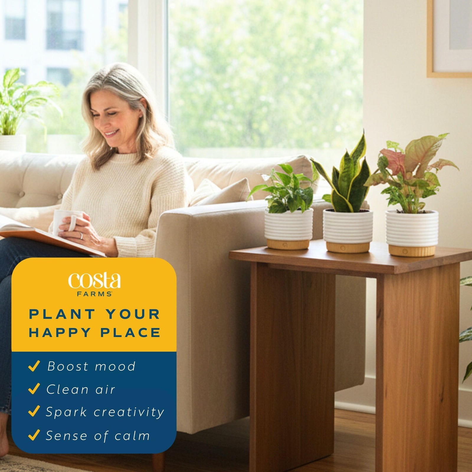 Live Indoor House Plants (3-Pack), Hand Selected Easy to Maintain Indoor Asso…