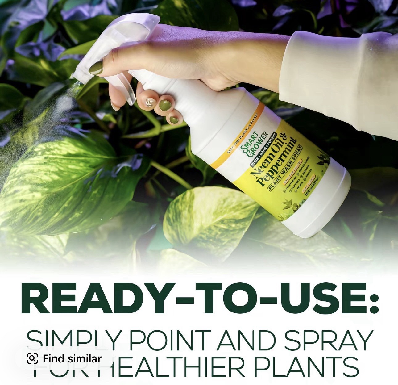 Neem Oil Spray for Plants with Peppermint Oil, Natural Plant Wash Made for In…
