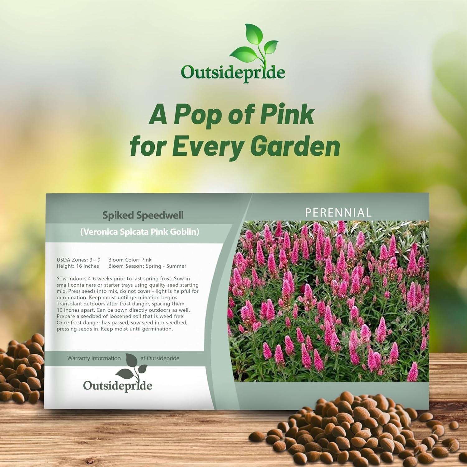 200 Seeds Veronica Spicata Pink Goblin Garden Spiked Speedwell Flower Seeds