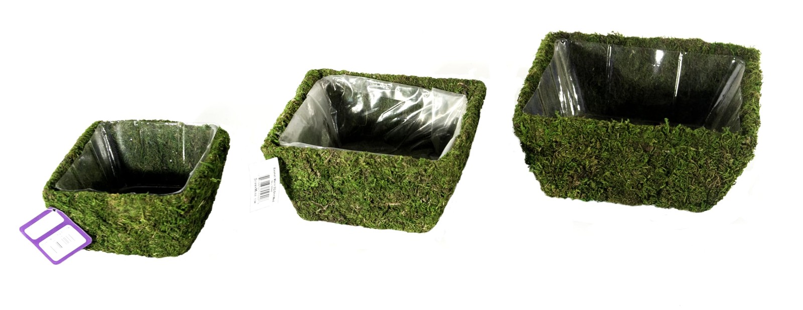 Supermoss 55040 Marin Fresh Green Set Of 3 S/M/L 7 59834 55040 2