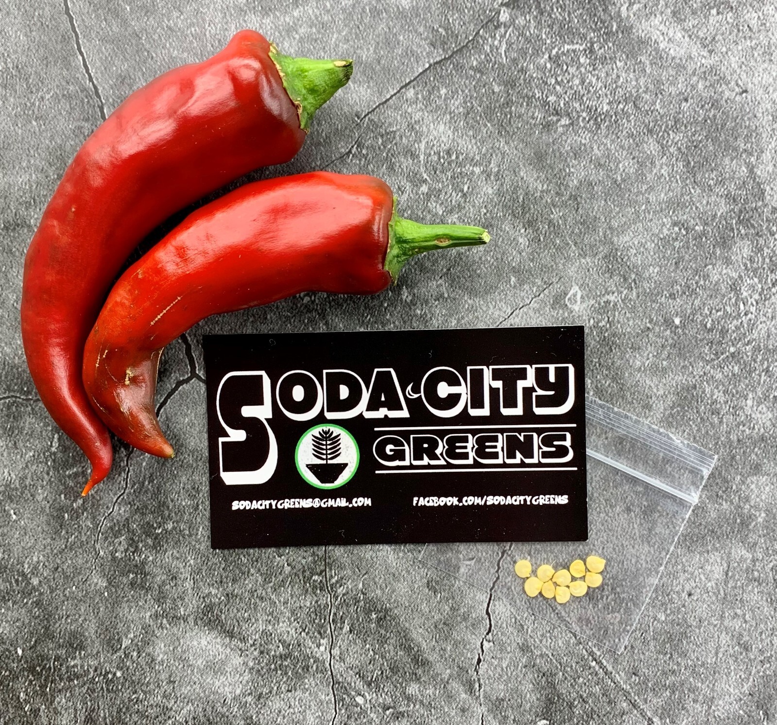 Hungarian Paprika Pepper Seeds 10+ FREE SHIPPING!