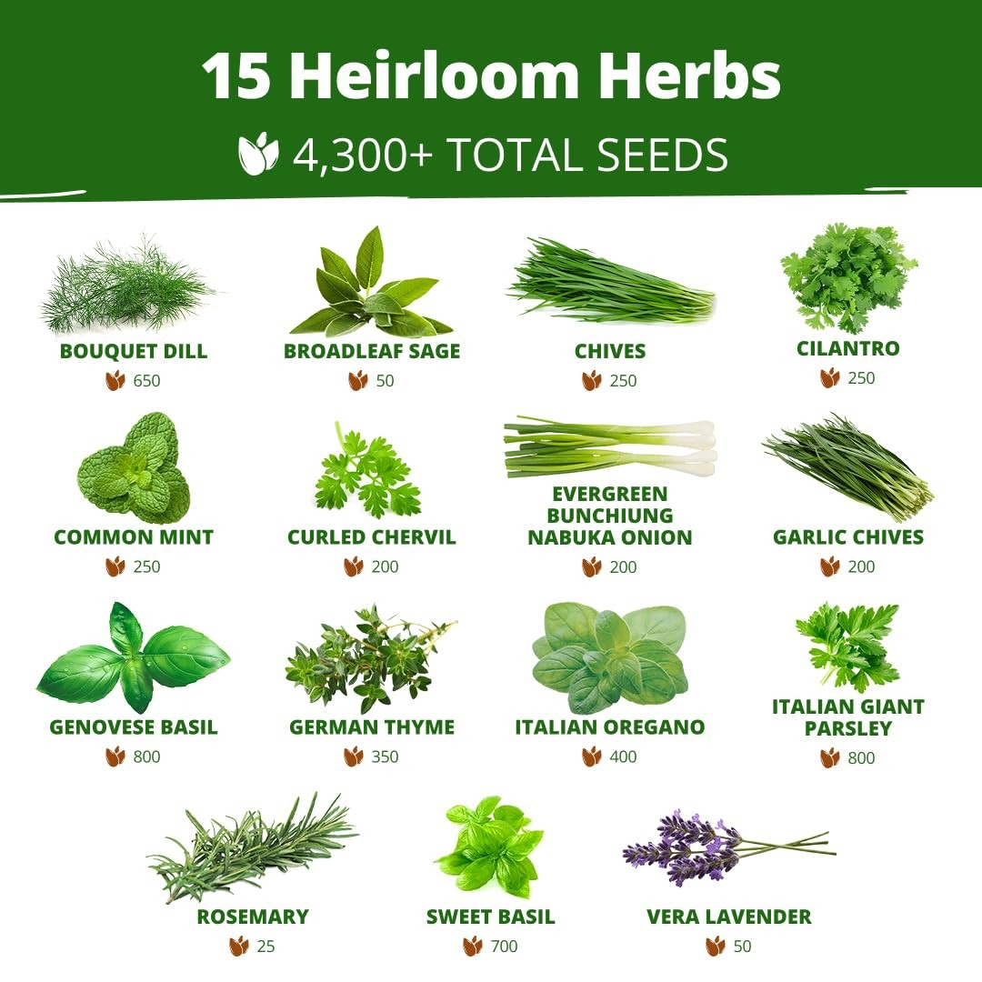 HOME GROWN Herb Seeds for Planting 15-Pack Massive Seed Count 4,300+ Seeds