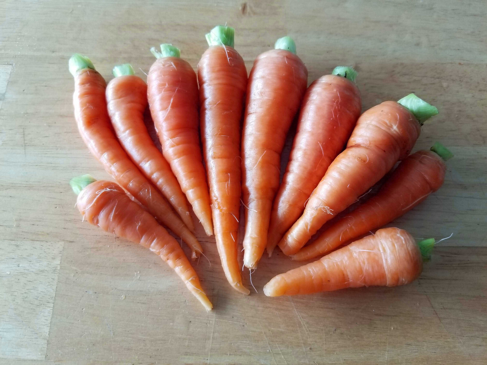 400 Heirloom Scarlet Nantes Carrot Seeds – Organic NonGMO Sweet High Yield Large