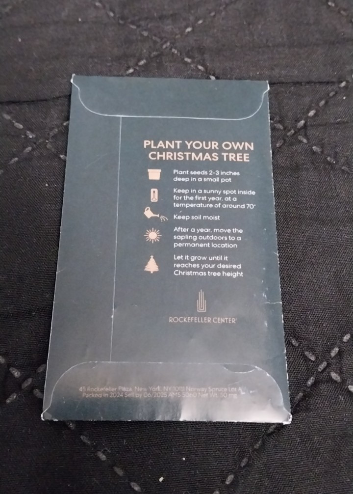 Rockefeller Christmas Tree Norway Spruce Seeds Plant Your Own