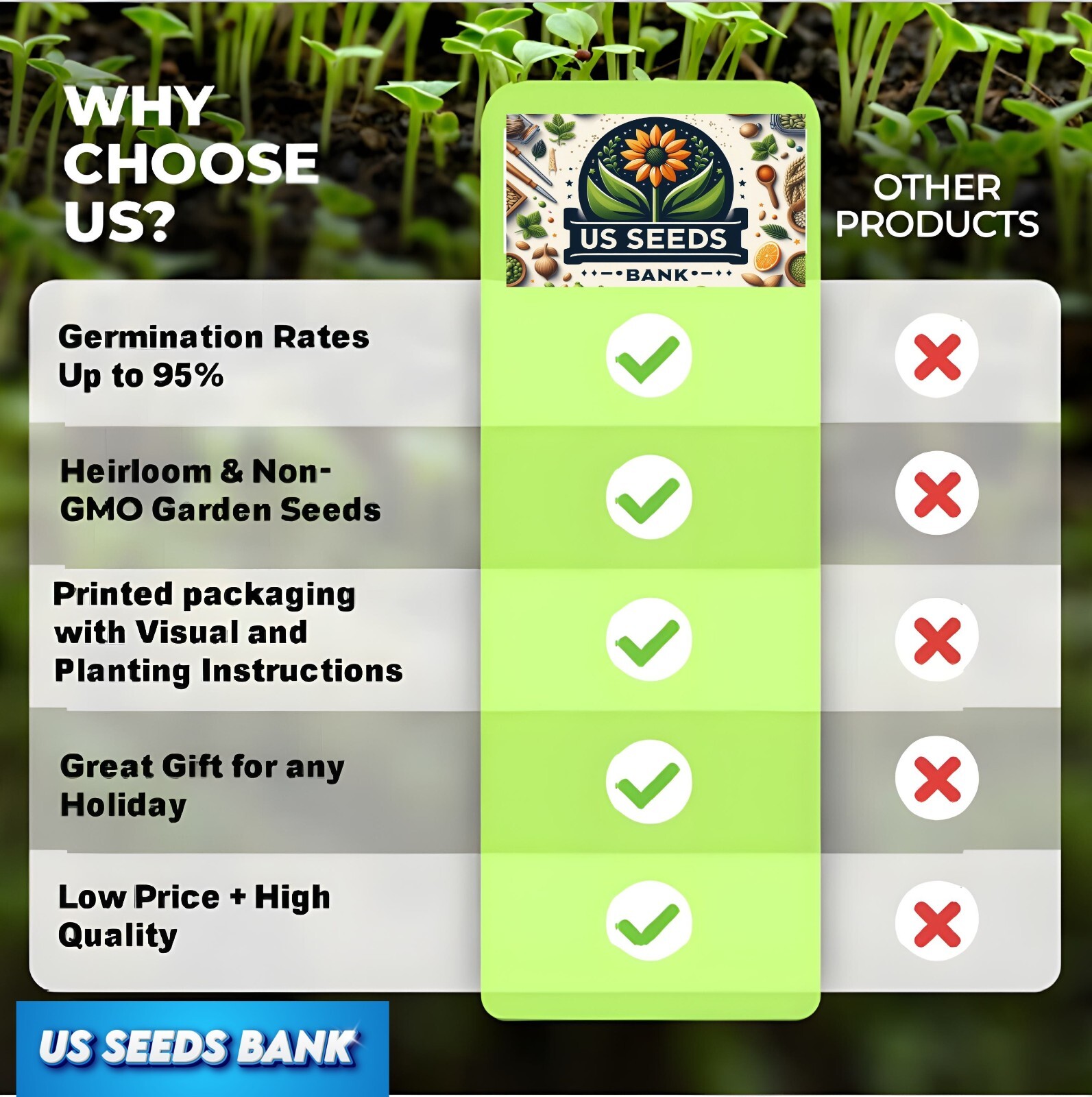 Bee Balm Wild Bergamot | 500 Seeds | Perennial | Non-GMO 500 Seeds US SELLER