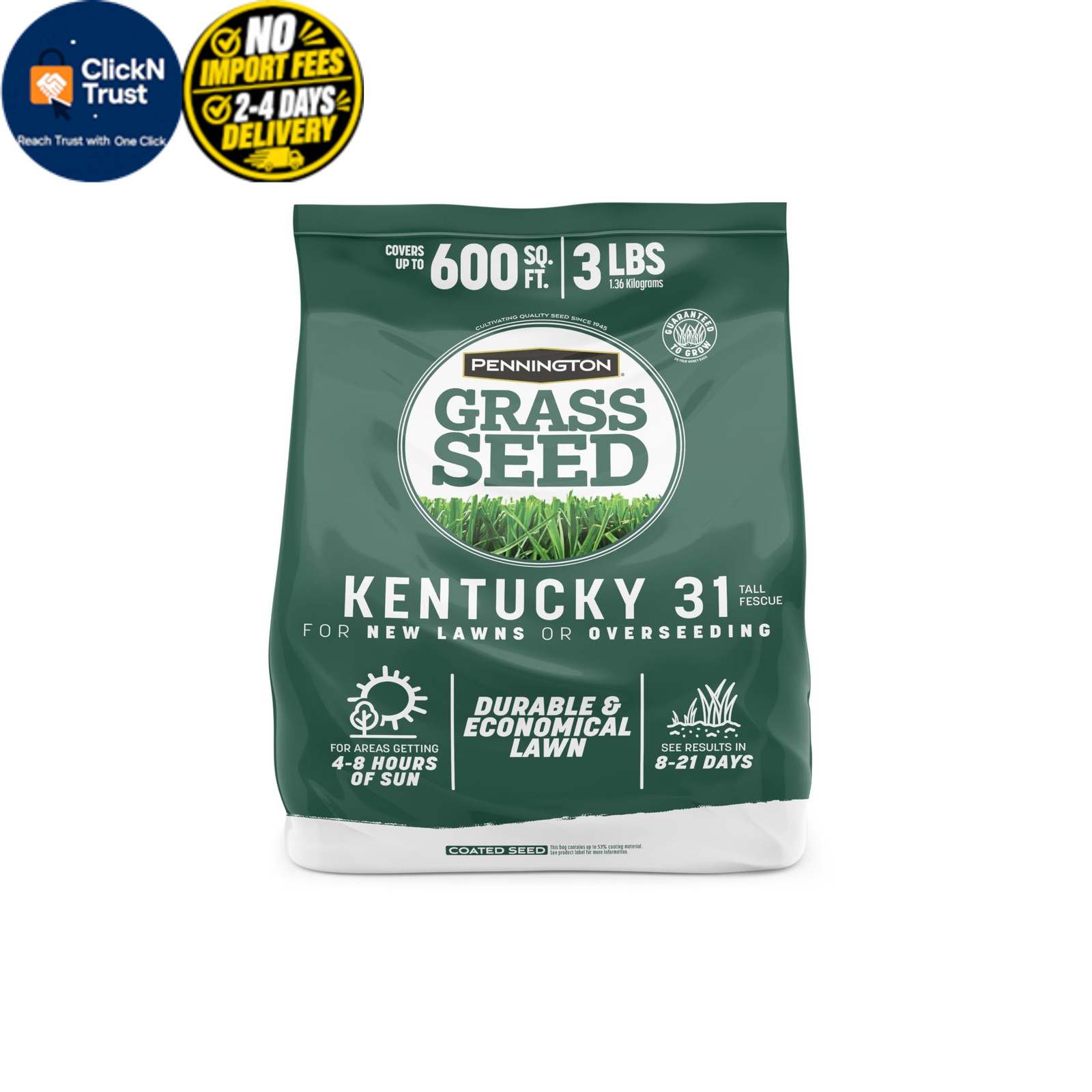 Pennington Kentucky 31 Fescue 3 LB Tall Grass Seed, 3 LB, Green