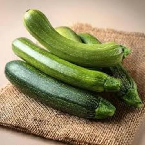 2 Green Zucchini Plants in 4″ Pot, Vegetable GARDEN planting NON-GMO