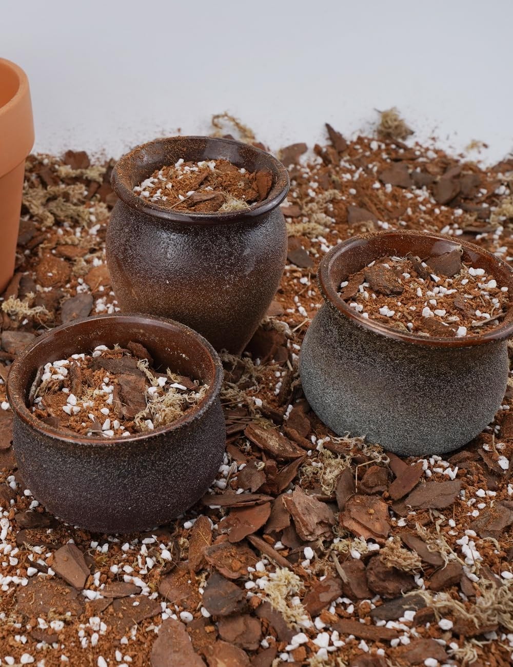 TOYPOPOR 3qt Orchid Potting Mix with Moss Pine Bark Mulch Perlite Stone &…