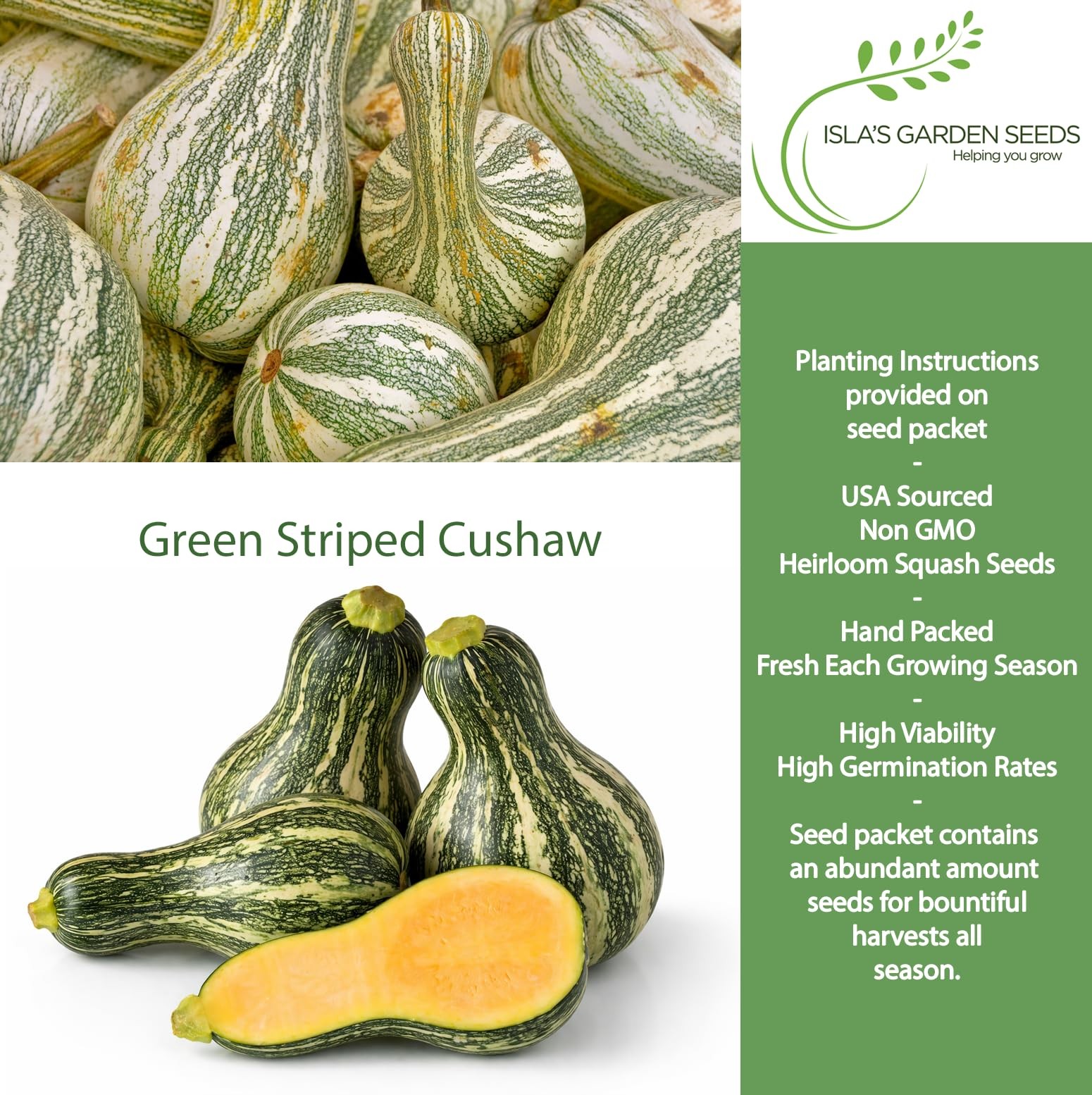 Green Striped Cushaw Pumpkin Seeds Cucurbita argyrosperma – 25 Heirloom NonGM…