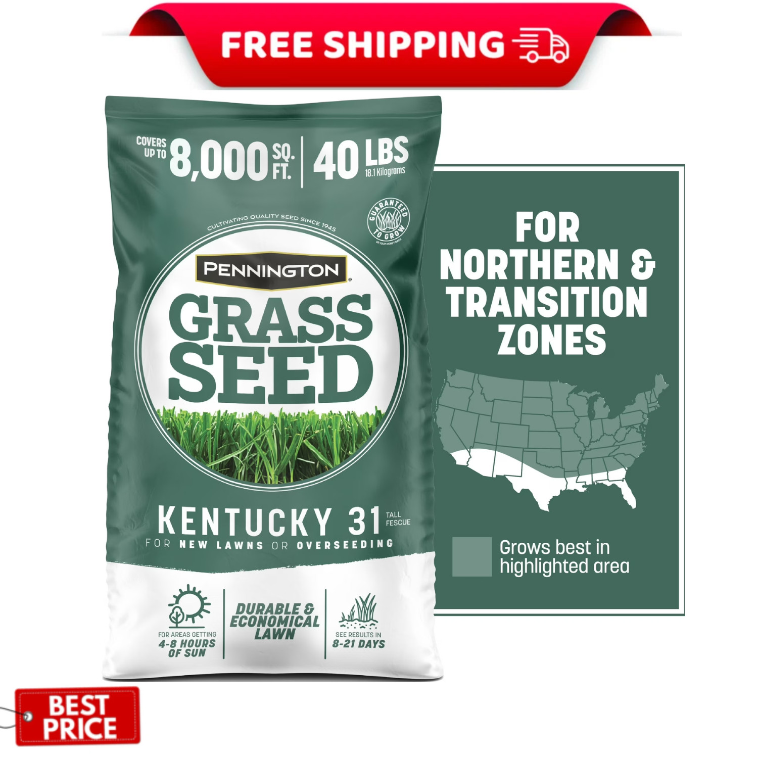 Pennington Kentucky 31 Tall Fescue Grass Seeds for Lawn, Sun to Partial Shade