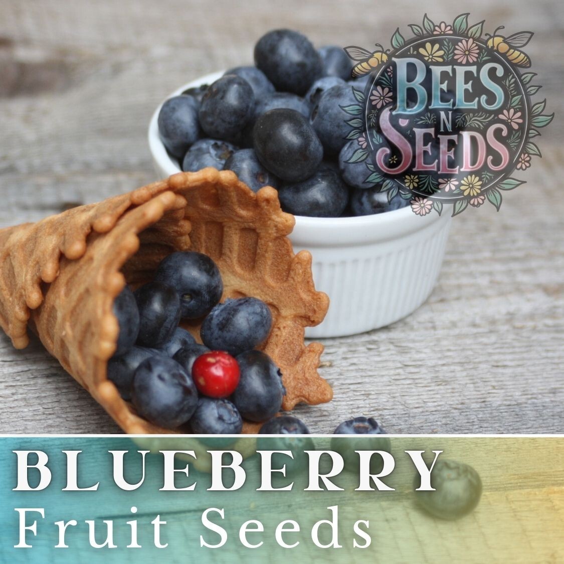 Blueberry Seeds 200, 750 or 3,200 Seeds Fruit Seeds, Non GMO, Bulk Seeds, Berry