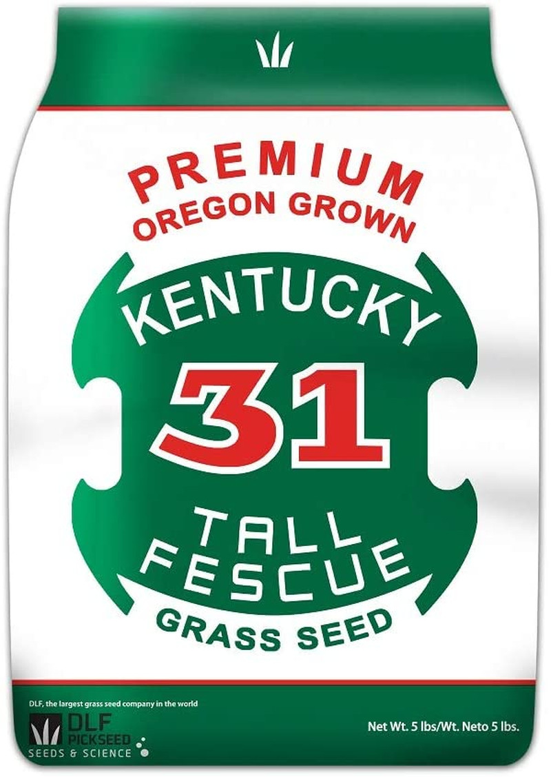 Premium Oregon Grown Kentucky 31 Tall Fescue Grass Seed (5 LBS)