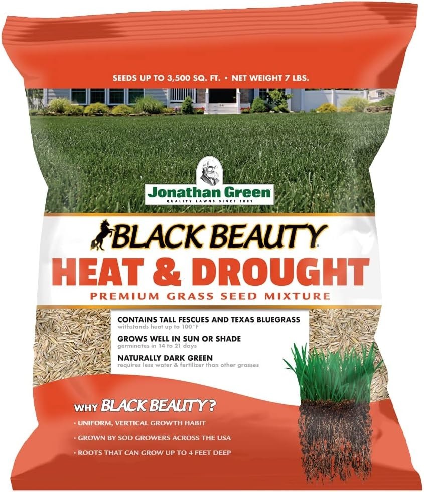 Luxurious Green Lawns: 7 lb Black Beauty Heat & Drought Resistant Grass Seed.,