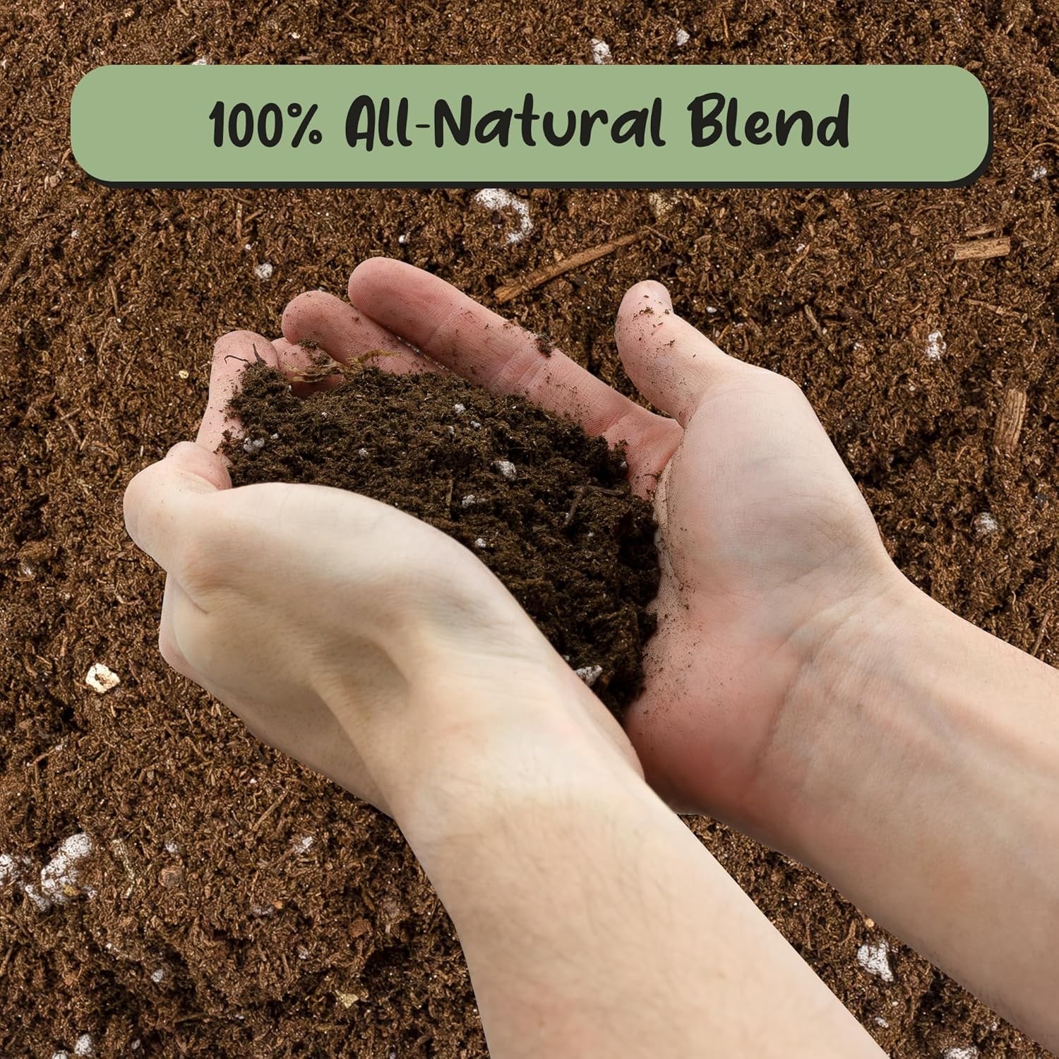 Soil Sunrise Plant Propagation Potting Mix (4 Quarts) Ideal Starter 4 Quarts