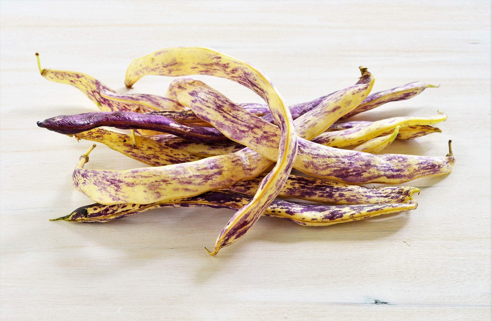 50 DRAGON TONGUE Wax BEAN Yellow Purple Phaseolus Vulgaris Vegetable Seeds
