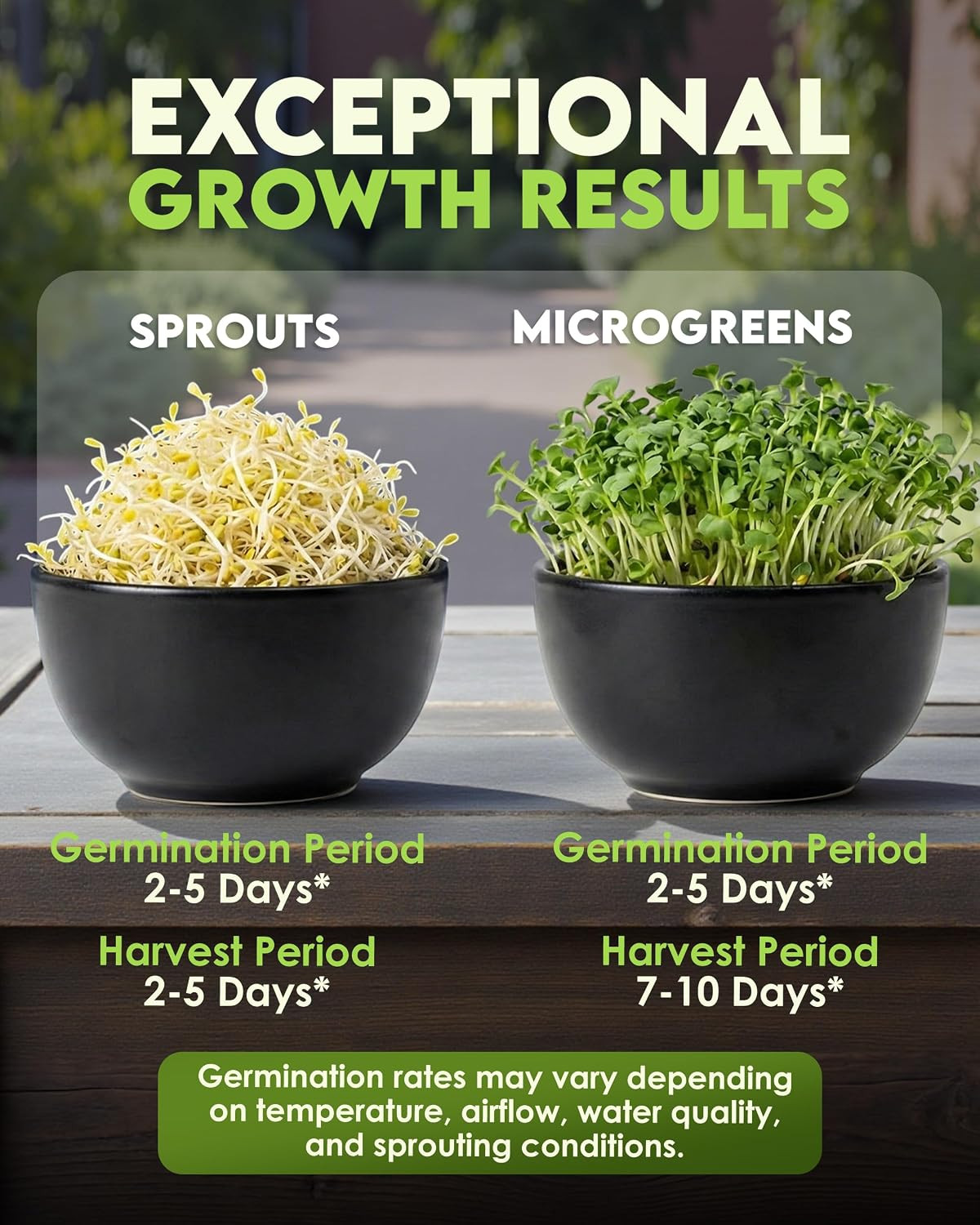 Nature Jims Sprouts Alfalfa Seeds – Non-Gmo Organic Sprout for Growing & Plantin
