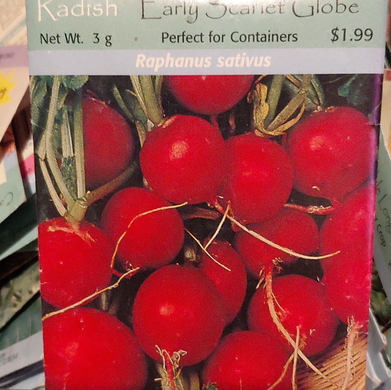 Radish Early Scarlet Globe Seeds (Raphanus sativus) Red Edible Annual Vintage