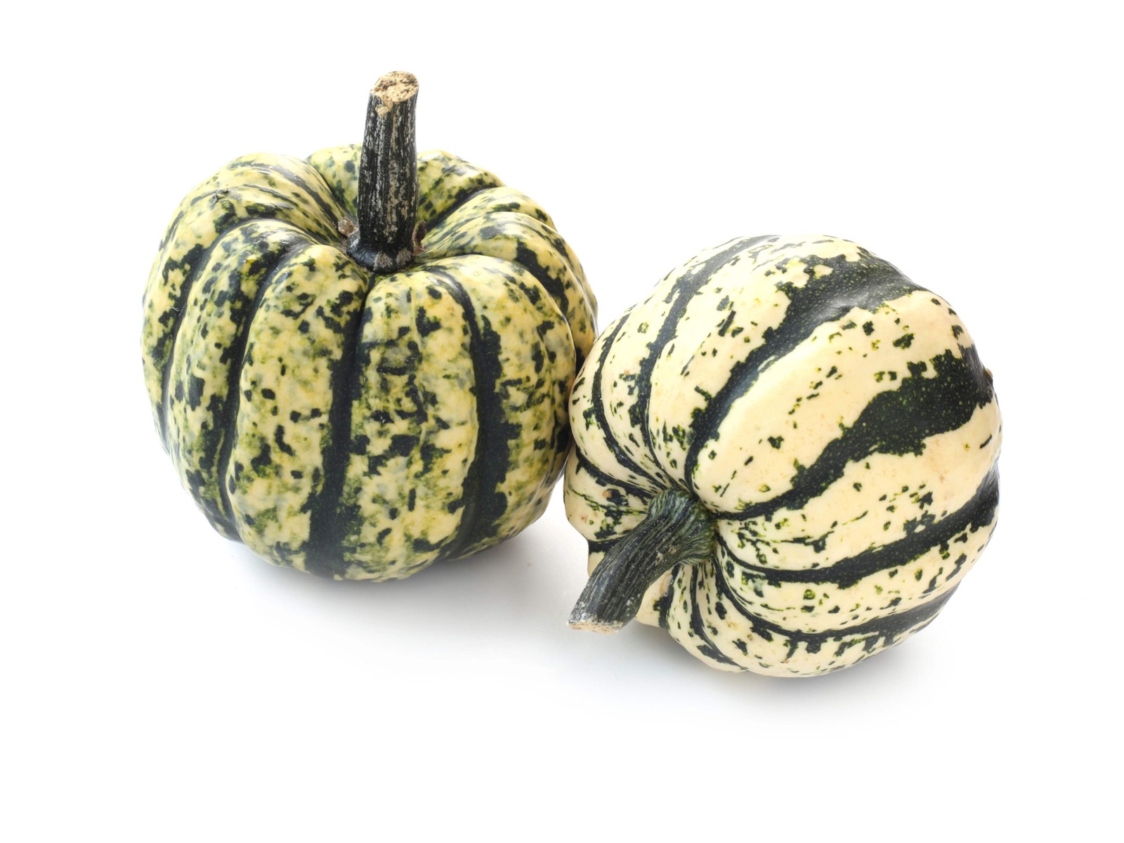 15 HEART Of GOLD Acorn SQUASH Winter Cucurbita Pepo Vegetable Seeds