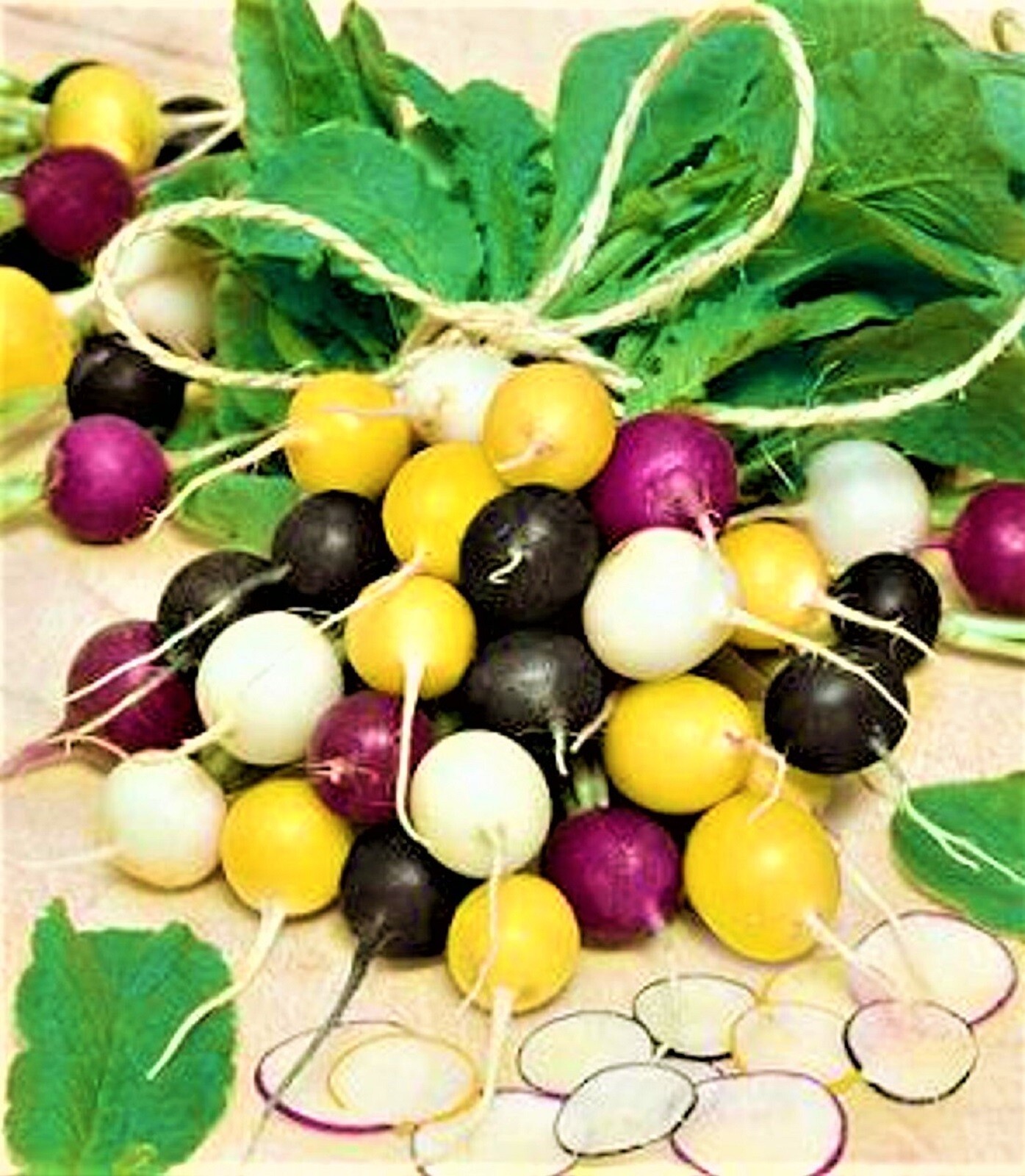 Halloween Mix Radish Seeds 100+ SEEDS NON-GMO –BUY 4 ITEMS FREE SHIPPING