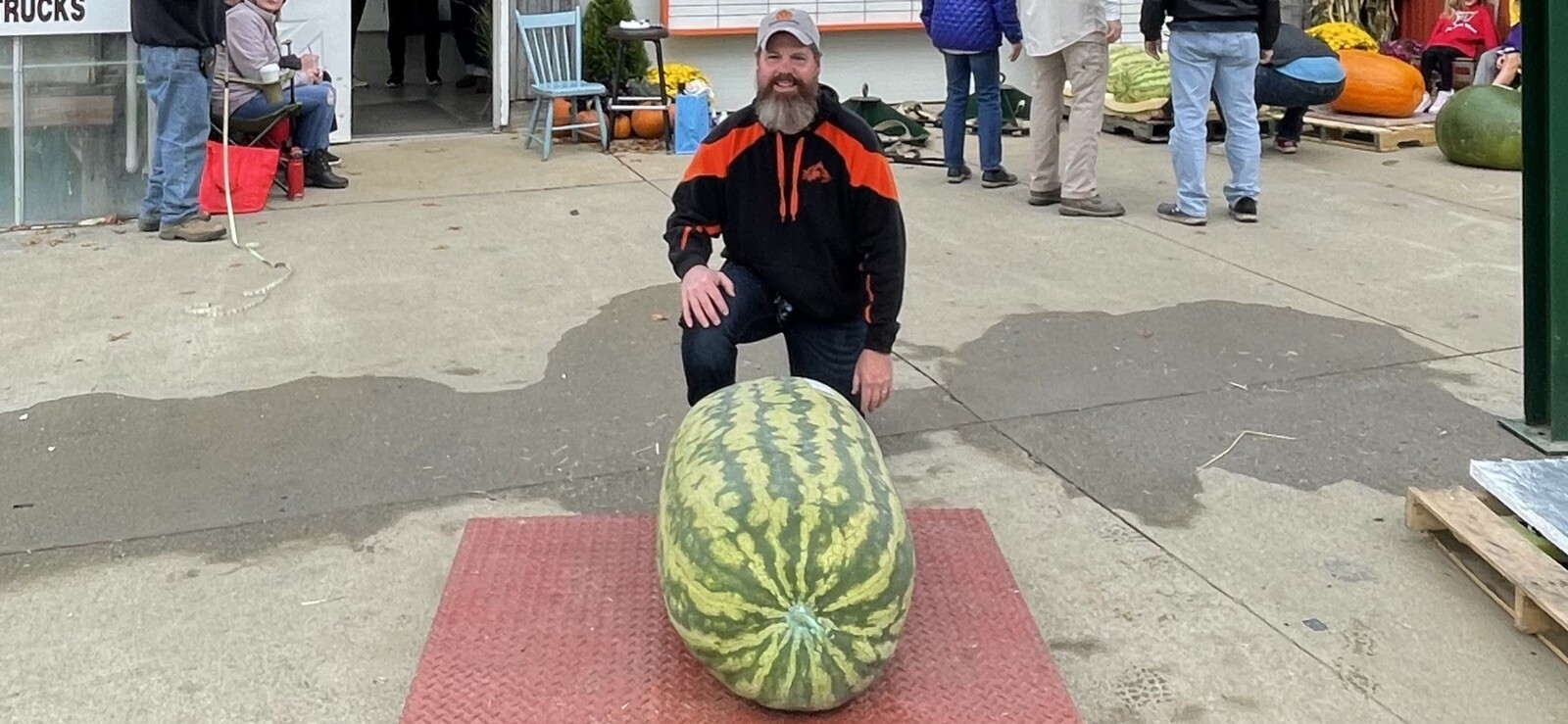 222 Lb Giant Watermelon. $25For 5 Seeds. Free Shipping Worldwide!!