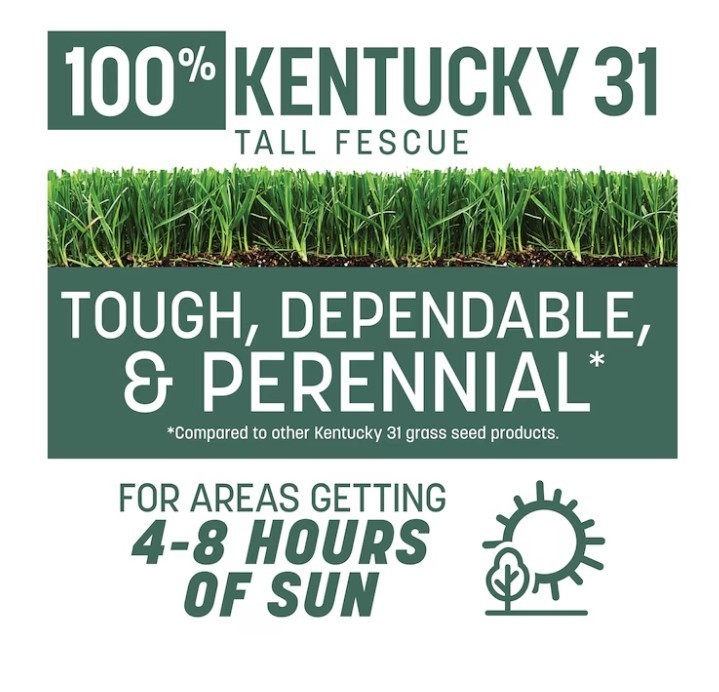 [HOT SALE] Pennington Kentucky 31 Tall Fescue Grass Seed 7 lb Bag (2 Pack) Lawn