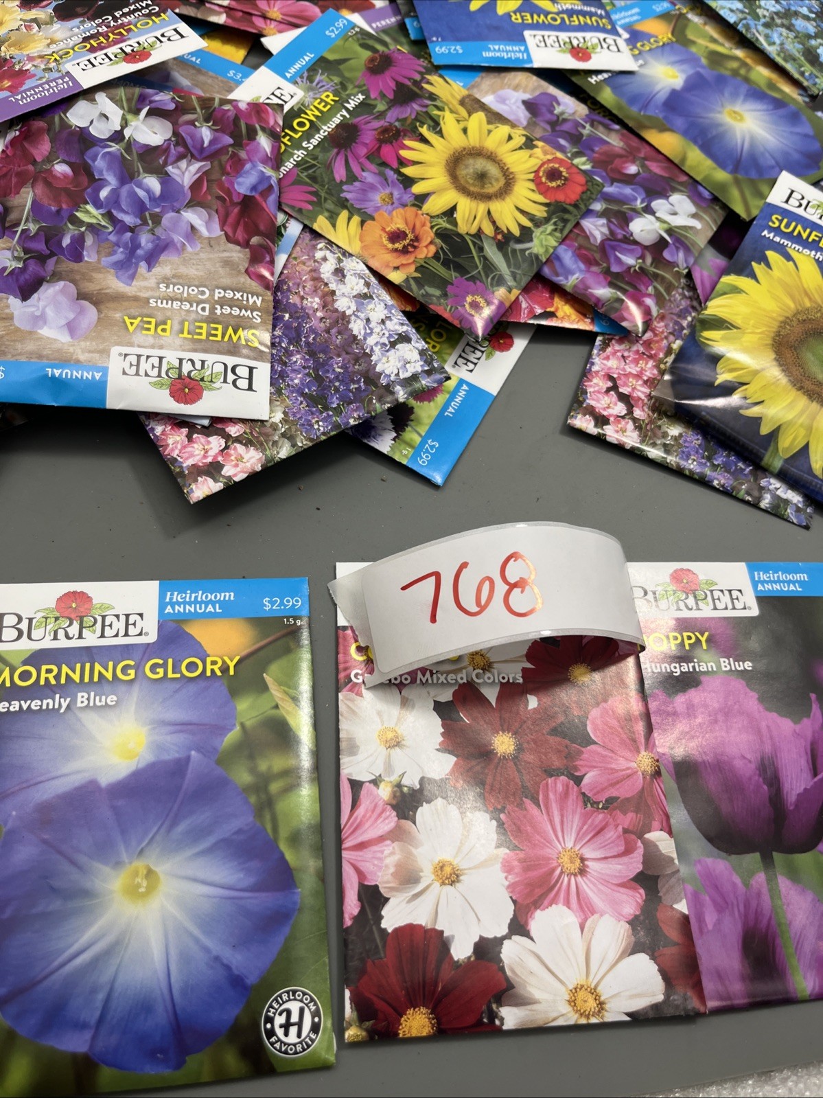Flowers annual perennial Plant Seeds (Assorted Lot of 100) sell by 11/26 Garden