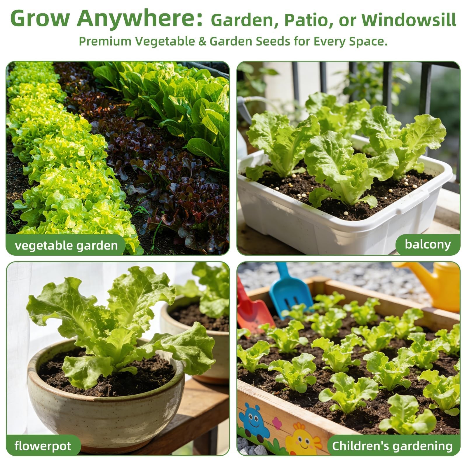 Heirloom Vegetable Seeds Kit – 15,000+ Non-GMO for Hydroponic & Outdoor