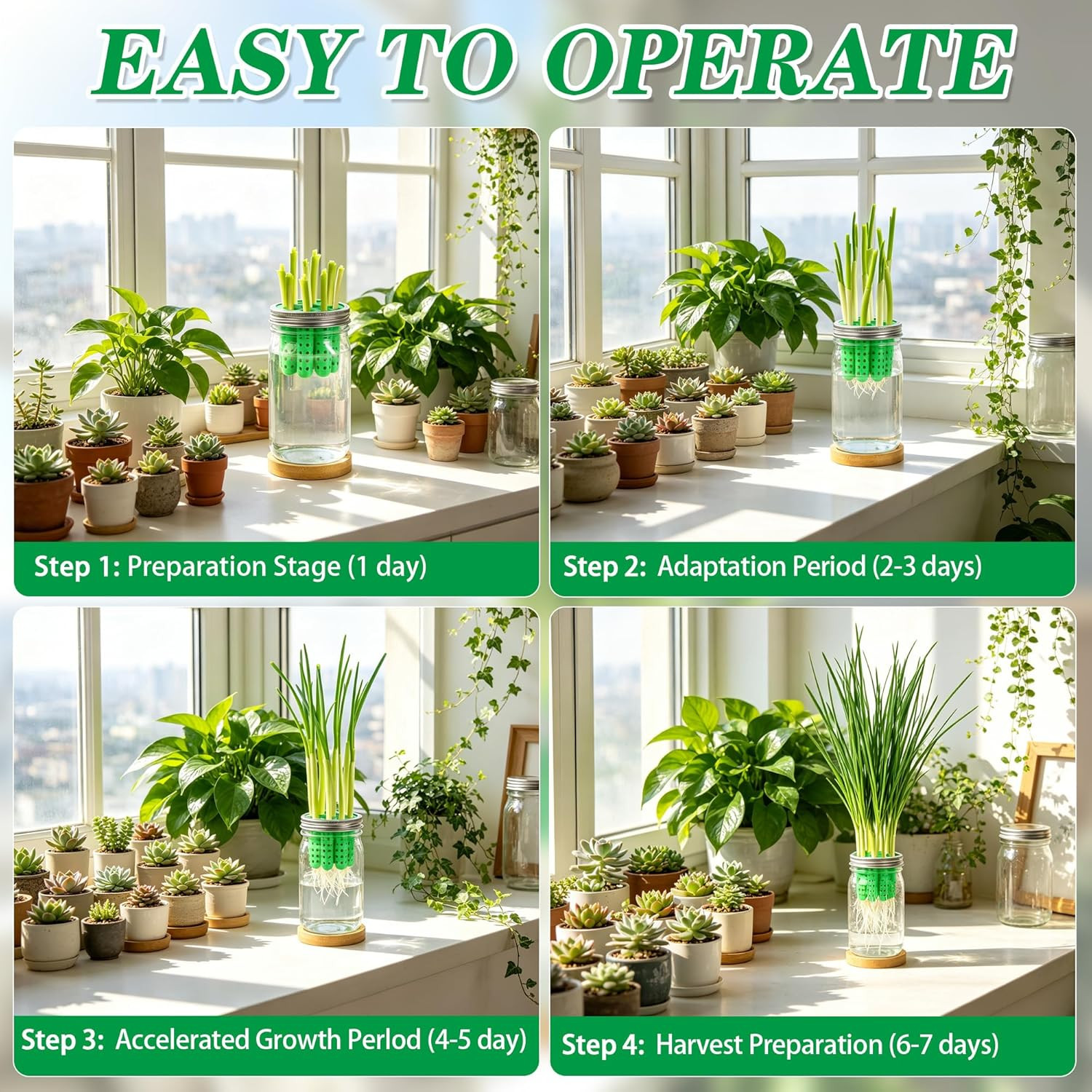 2-In-1 Seed Sprouting Set- Green Onion Regrower Kits – Onion Planter Scallion, G