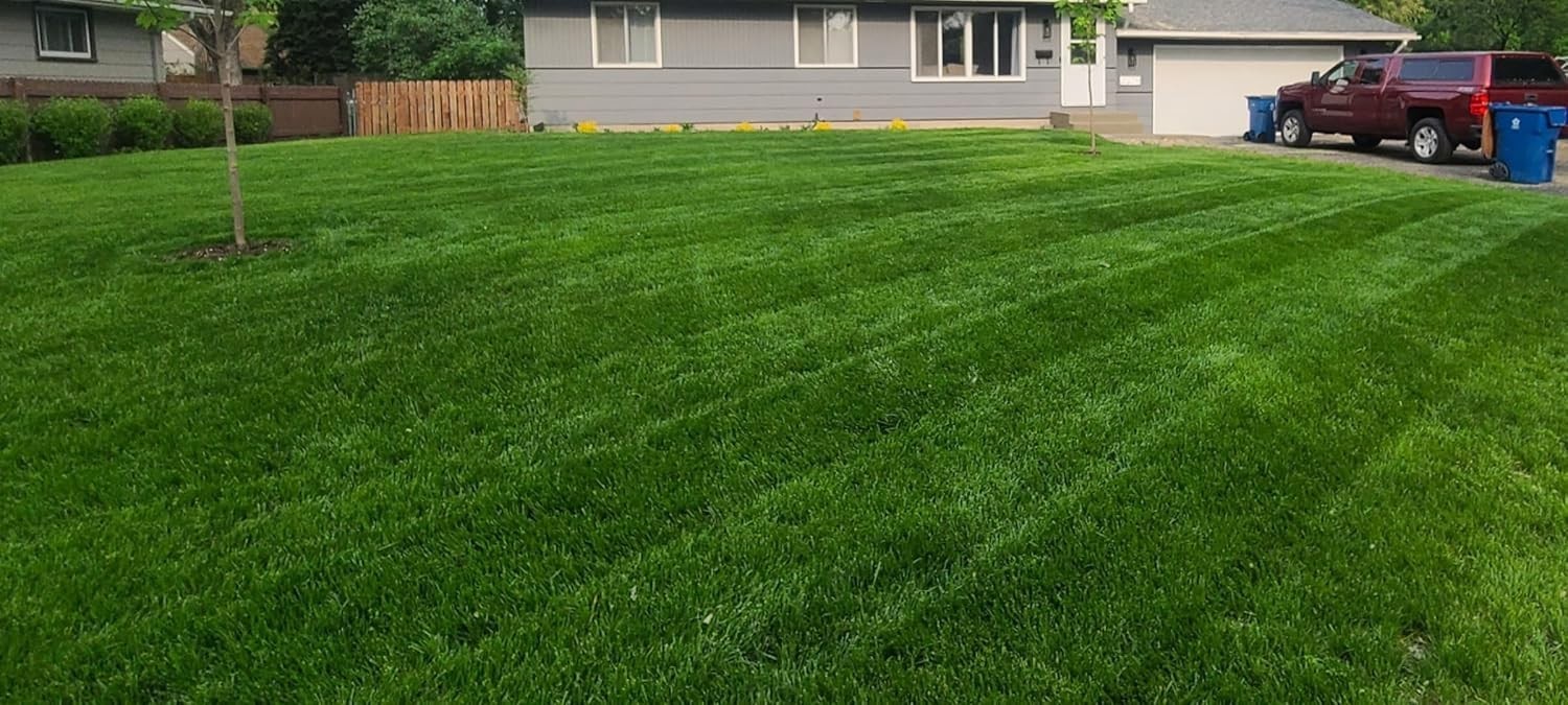 Traffic Tolerant Grass Seed Mix for Quick Establishment and Versatile Use