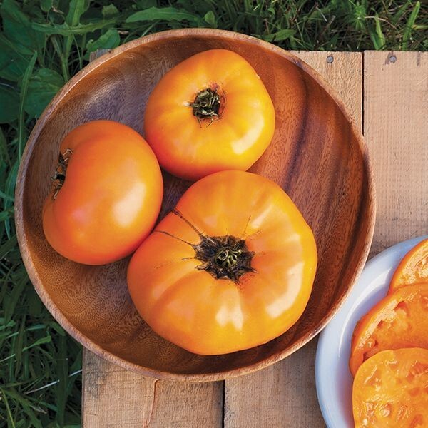 45 ORGANIC Non-GMO Brandywine Yellow Tomato Seeds- Seeds Of Tomorrow