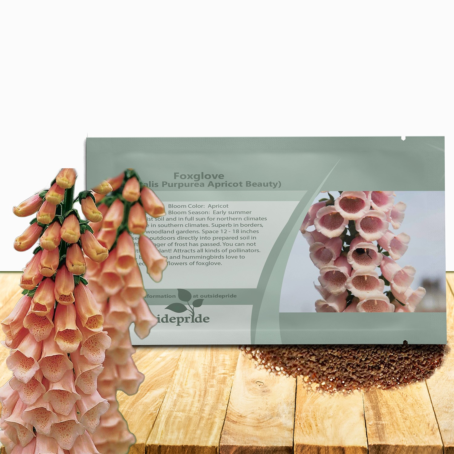 10000 Seeds Foxglove Seeds – Digitalis Purpurea Apricot Beauty Flower Seed