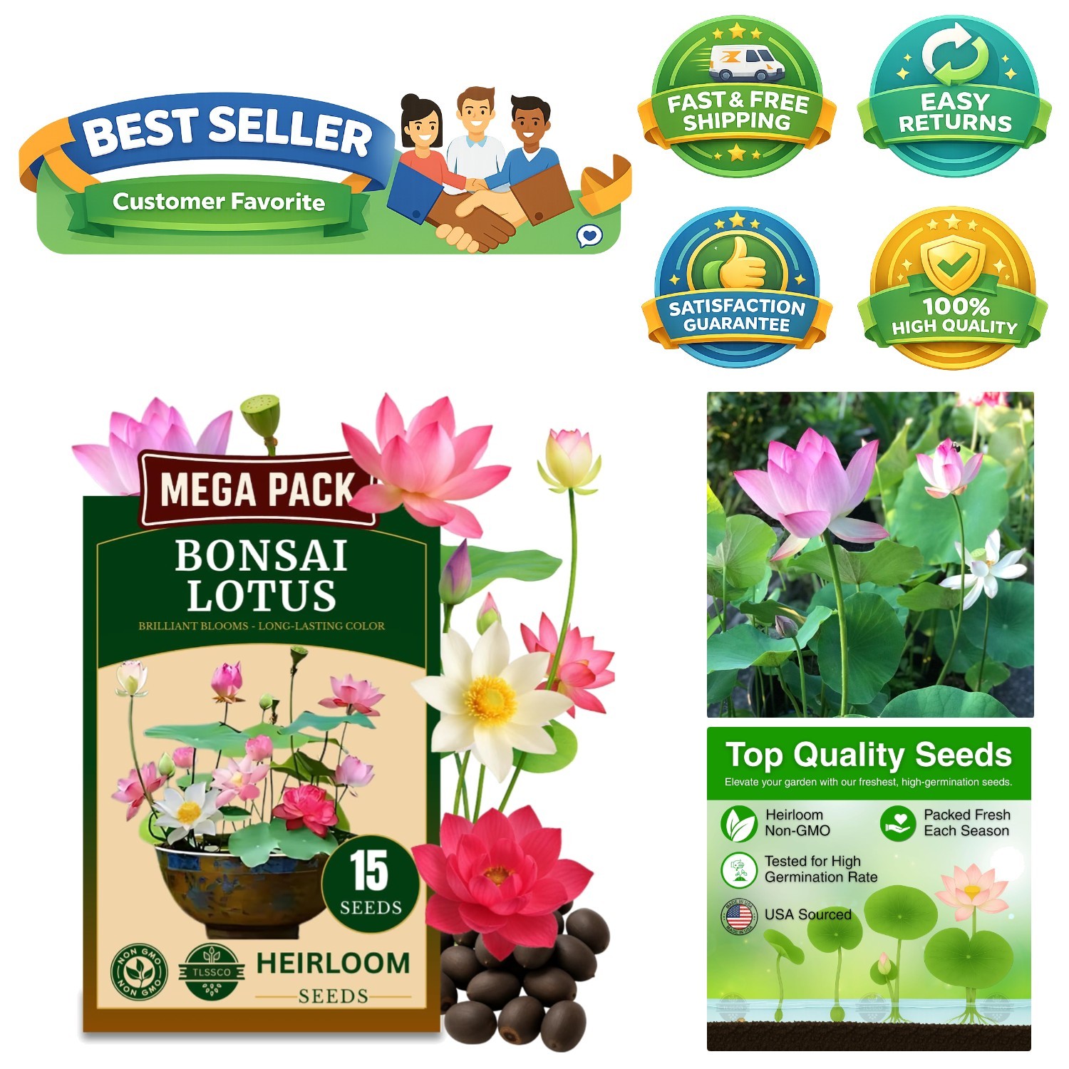 15 Lotus Seeds for Indoor Bonsai & Outdoor Ponds – High Germination Rate