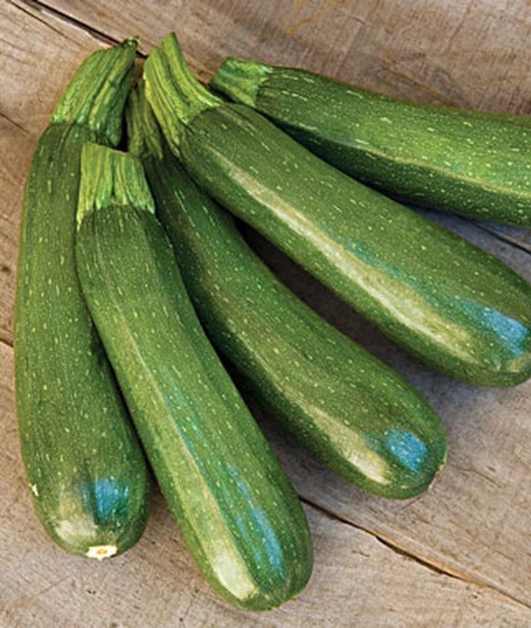Zucchini Dark Green Squash, NON-GMO, Heirloom, 30 Zucchini Seeds, Vegetable Seed