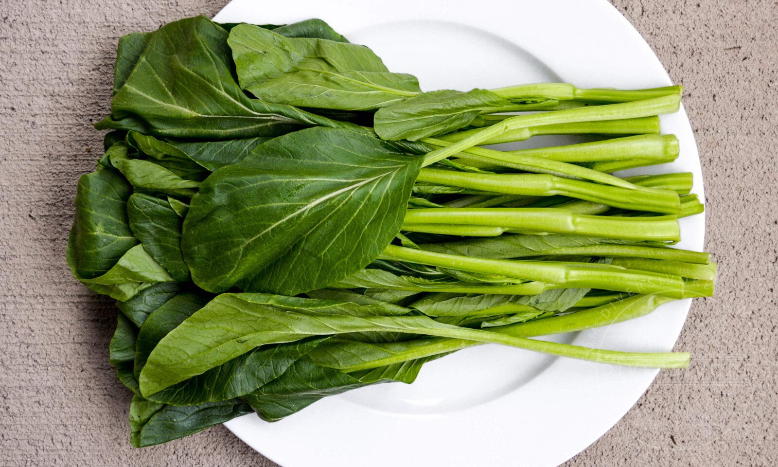 1000+ seeds Yu Choy Choi Sum Choy Sum Cải Ngọt Cabbage Veggies USA