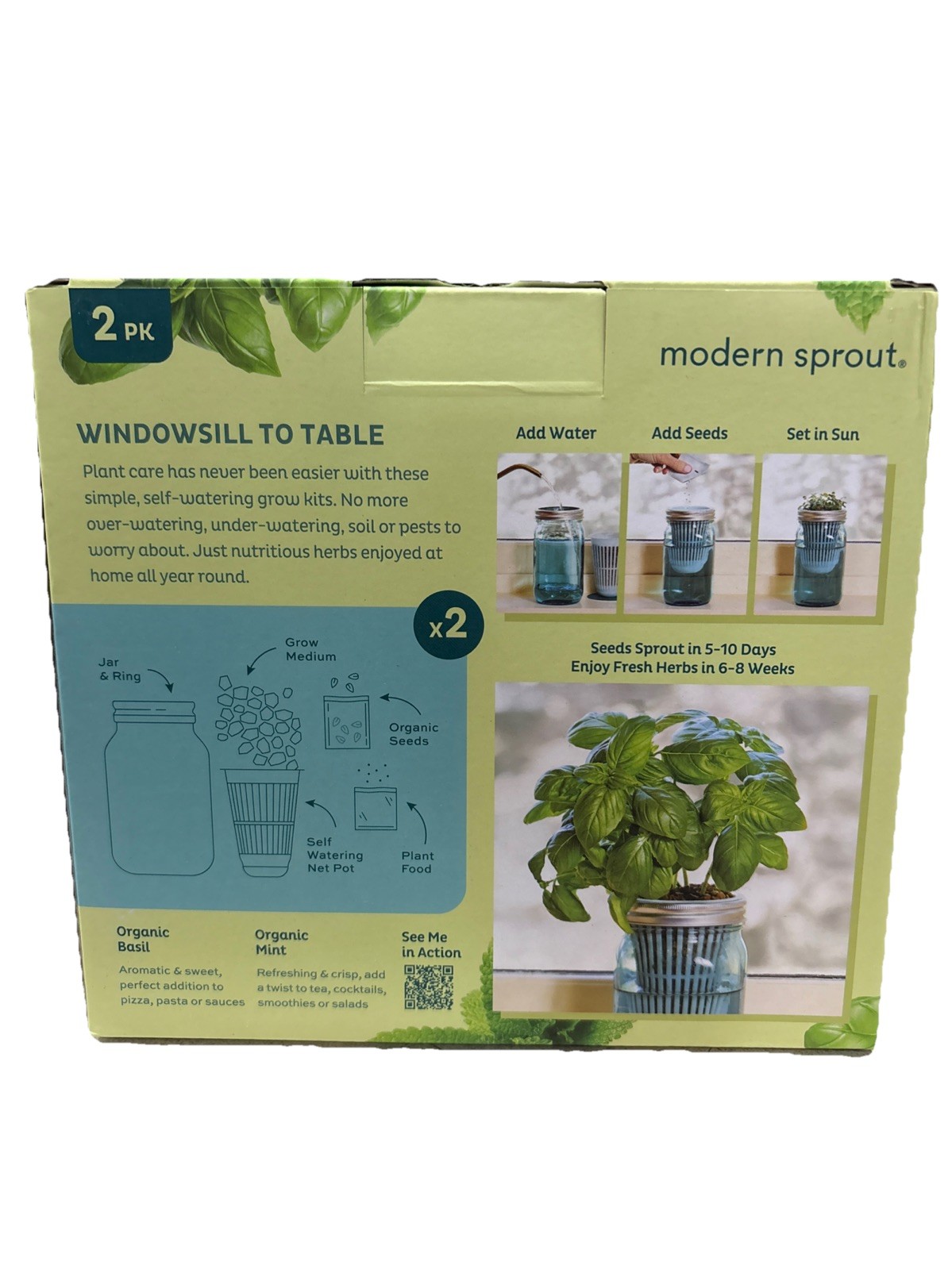 Modern Sprout Organic Herb Glass Jar Grow Kits, 4 Pack, Basil & Mint